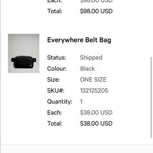 Everywhere belt bag from lululemon  used twice  ❤️⭐️